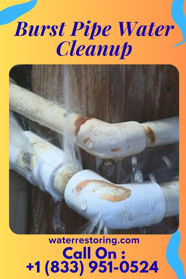 Burst Pipe Water Cleanup in Robin Glen-Indiantown, MI