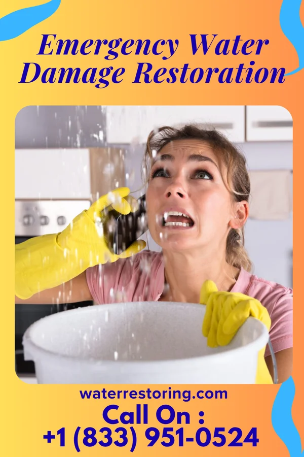 Emergency Water Damage Restoration in Robin Glen-Indiantown, MI