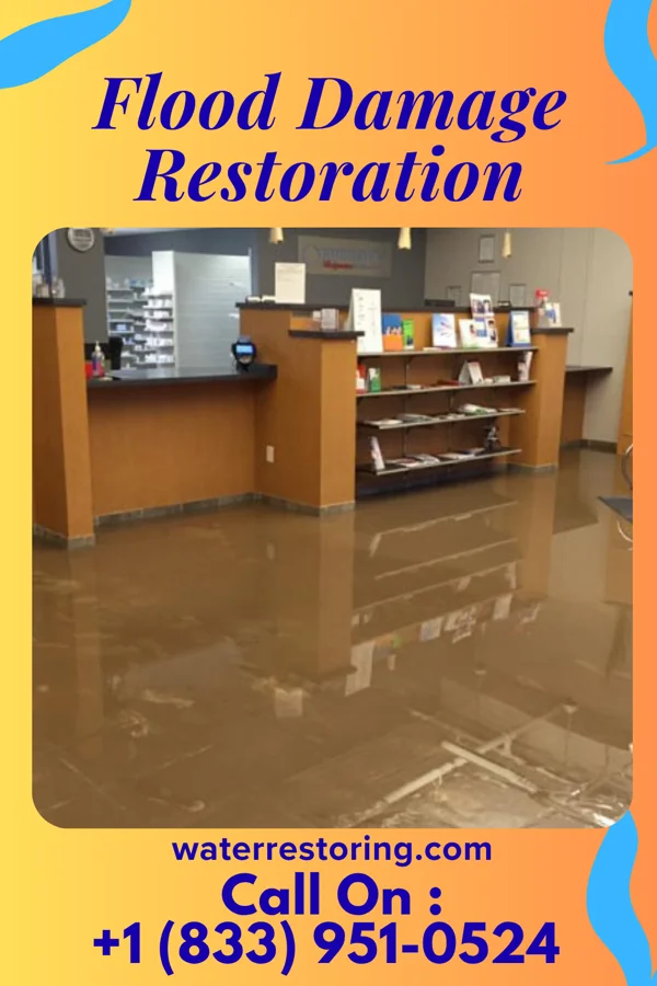 Flood Damage Restoration in Robin Glen-Indiantown, MI
