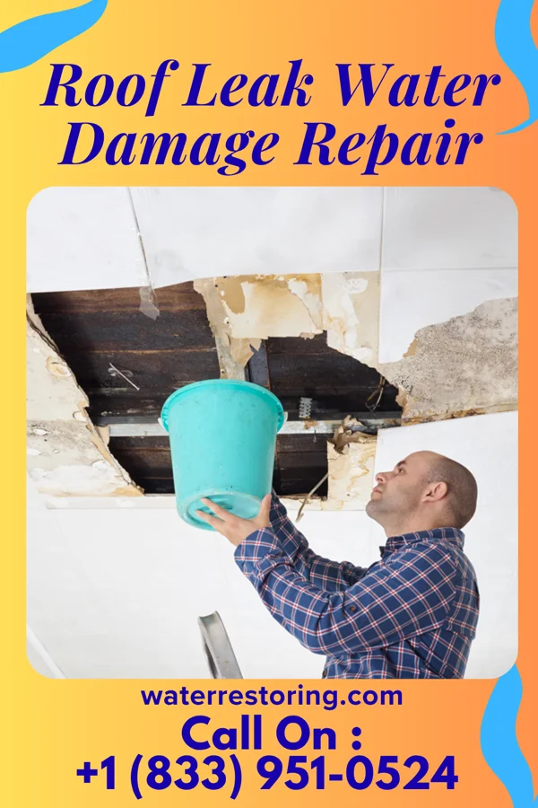 Roof Leak Water Damage Repair in Robin Glen-Indiantown, MI